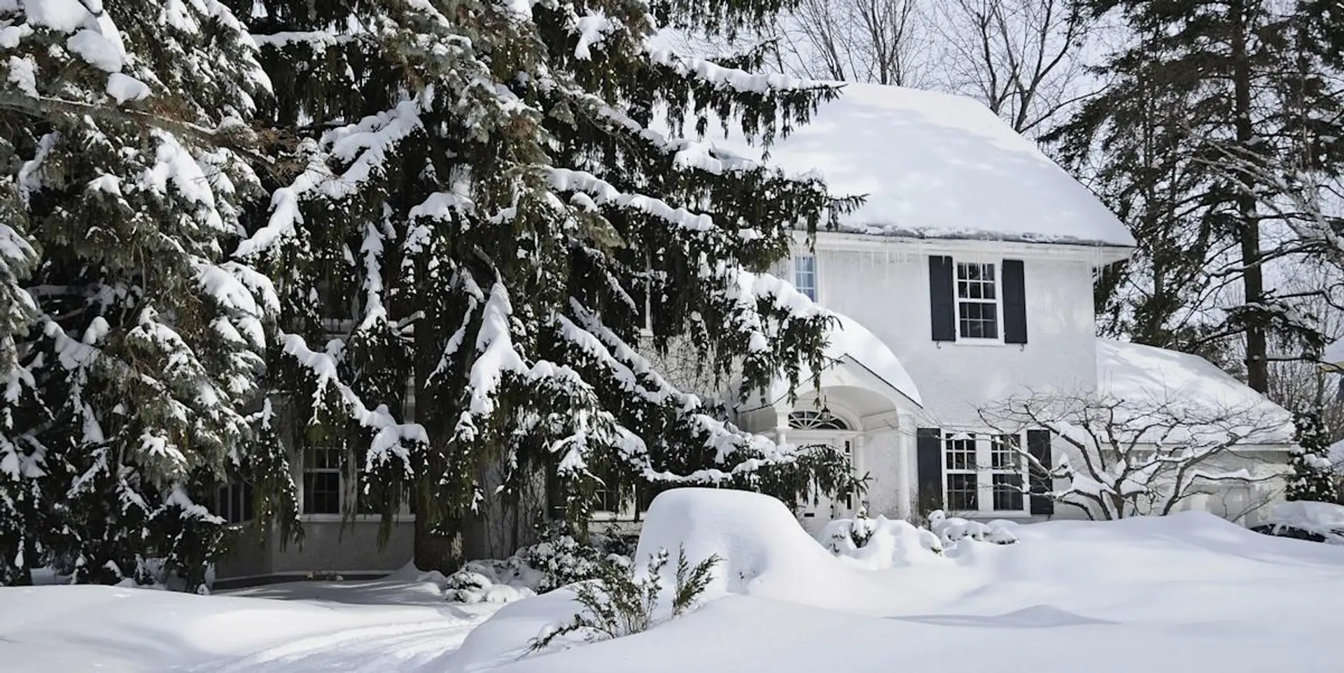 687b55a3d4d899533b0a7f1e